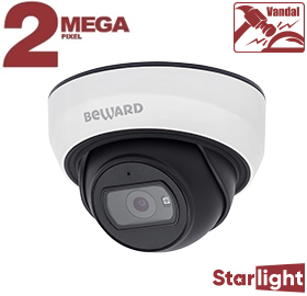 SV2012DBS, IP-видеокамера