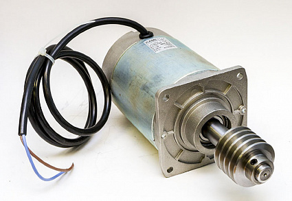 119RIG047, электродвигатель GARD24