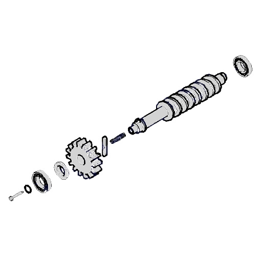 119RID228, червяк редуктора FAST в сборе