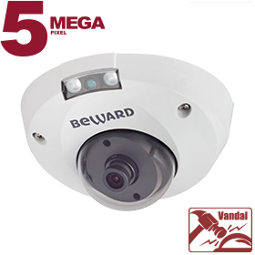 B5320DMR, IP-видеокамера