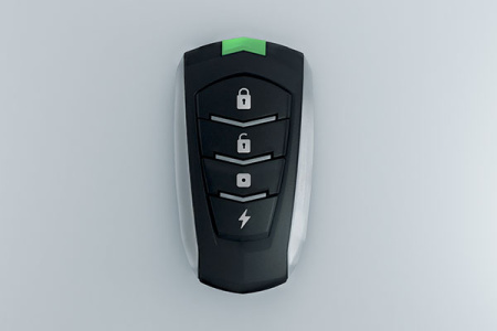 Livi Key Fob, брелок