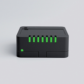 Livi Relay 12/24, реле