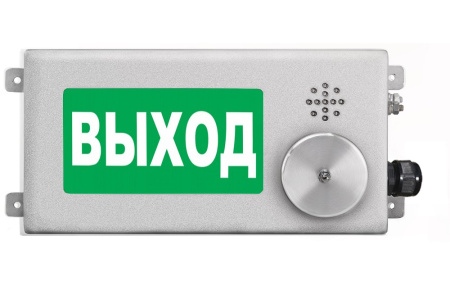 ТСВ-Exm-Н-Прометей-МИНИ 220В, световое табло