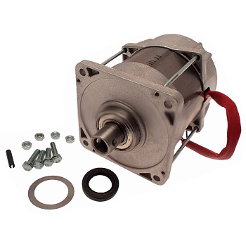 119RID087, Электродвигатель FERNI