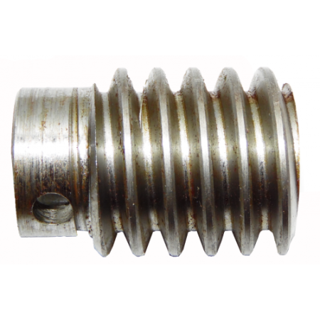 119RID230, червяк двигателя F7000 в сборе