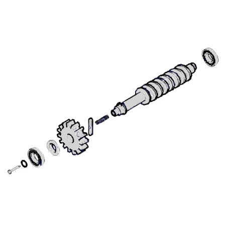 119RID228, червяк редуктора FAST в сборе