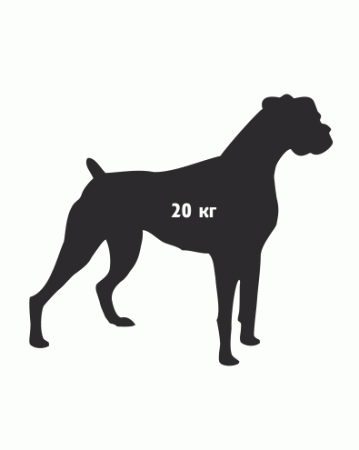 Астра-517 исп. Р, ИК извещатель