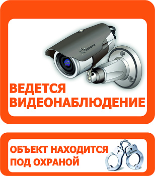 Наклейка "Ведется видеонаблюдение" (оранжевая)