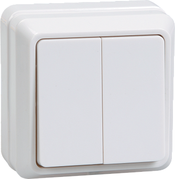 Выключатель ВС20-2-0-ОБ 2кл 10А открытой установки ОКТАВА (белый) Выключатель ВС20-2-0-ОБ 2кл 10А открытой установки ОКТАВА (белый)