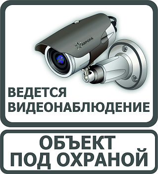 Наклейка "Ведется видеонаблюдение" (серая)